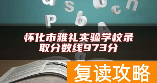 怀化市雅礼实验学校录取分数线973分